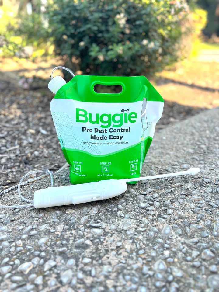 Buggie Smart Pest Control Kit Annual Subscription