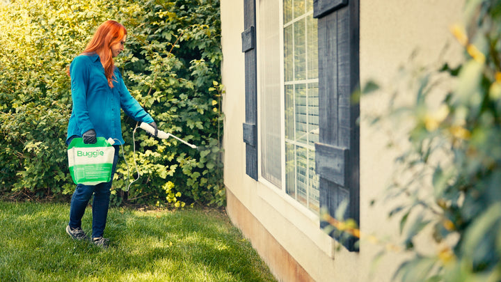 Buggie Smart Pest Control Kit Annual Subscription